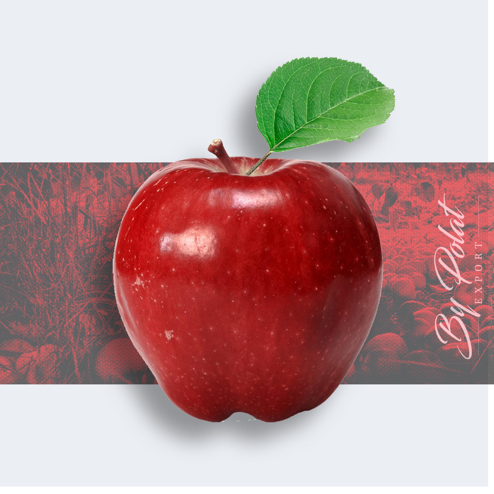 Red Delicious