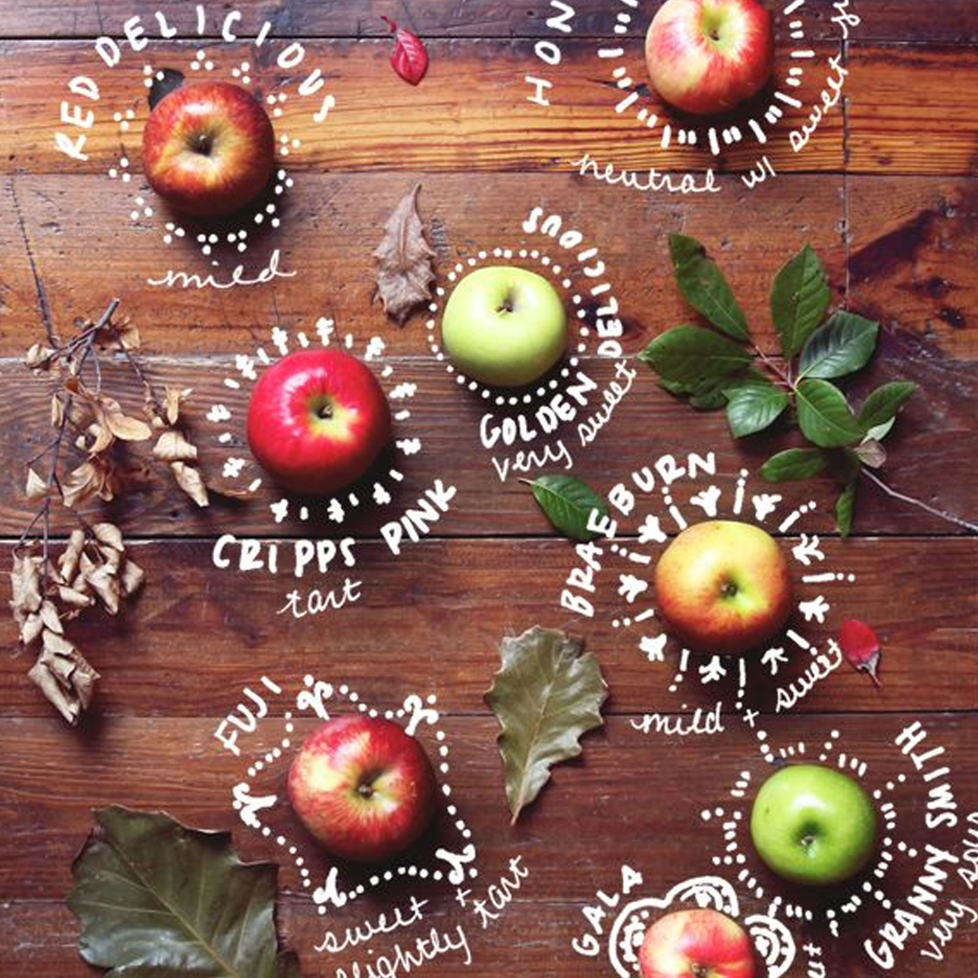 Apples Contain Compounds That Can Help Fight Asthma